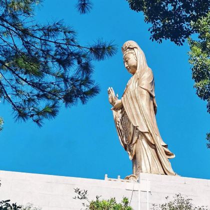 普陀山2日1晚跟团游