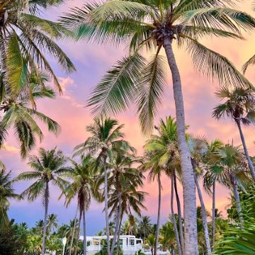 古巴11日跟团游