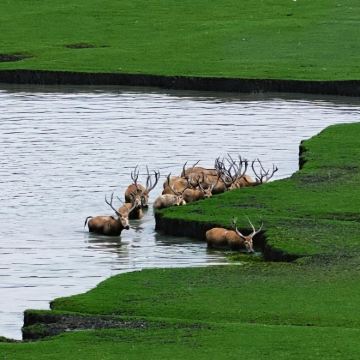 泰州+苏州4日3晚私家团
