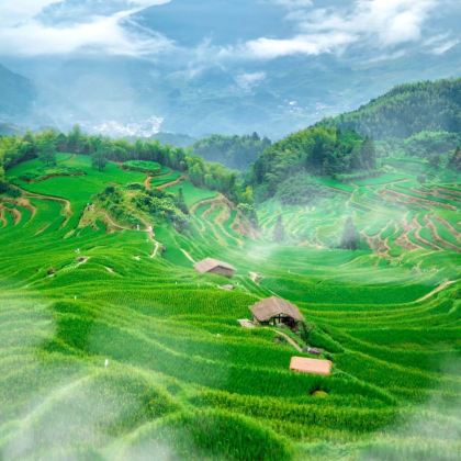 温州+丽水9日8晚私家团