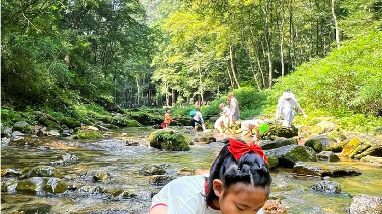 张家界+天门山4日3晚拼小团·6人纯玩·6大VIP快速通·省4H排队&1+1商务保姆车|指定国际希尔顿+铂尔曼+野奢漫岩山居观日出<张家界全景游·金鞭溪黄石寨+7455米索道+玻璃栈道+玻璃桥>赠百龙天梯+黄石寨索道往返+杨家界索道