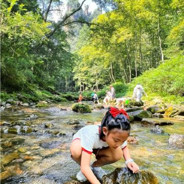 张家界+天门山4日3晚拼小团