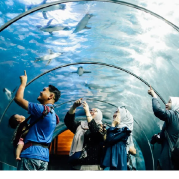 马来西亚吉隆坡+兰卡威5日4晚私家团