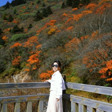 武汉+神农架+三峡大坝旅游区6日5晚跟团游