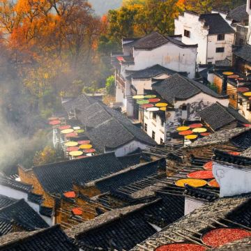 江西婺源+景德镇4日3晚私家团