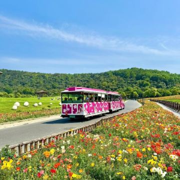 无锡+禅意小镇·拈花湾+天目湖旅游度假区3日2晚私家团
