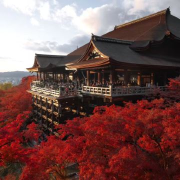 日本6日5晚私家团