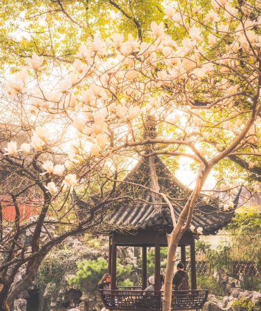 12D11N•Shanghai + Yichang + Chongqing + Xi'an + Beijing