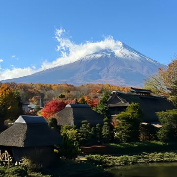日本东京+富士山2日自由行