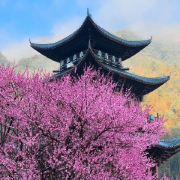 江西葛仙村度假区+望仙谷+三清山风景区+婺源篁岭景区+景德镇+庐山风景名胜区+南昌8日7晚私家团