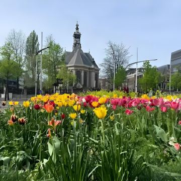 荷兰羊角村+海牙+鹿特丹+比利时安特卫普+布鲁塞尔10日9晚私家团