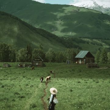 新疆乌鲁木齐+伊犁+阿勒泰市+喀什市+赛里木湖+禾木风景区+那拉提旅游风景区+喀拉峻景区17日16晚私家团