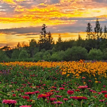 沈阳故宫+长白山+哈尔滨+漠河10日9晚私家团