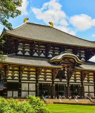 6D5N • Japan + Tokyo + Mount Fuji + Disneyland