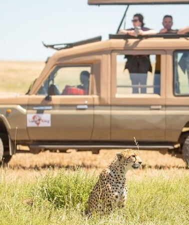 5D4N • 5 Days Best of Tanzania Luxury Safari Northern Circuit