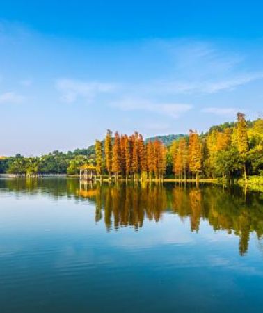 2日1晚 • 佛山2天團 · 永安特別安排夜遊「蘇村錦鯉街區」體驗燃放煙花夜  暢遊 廣東四大名山之一「西樵山天湖風景區」