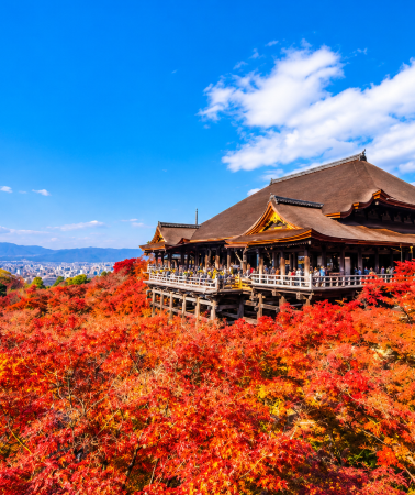 6D5N • Osaka Prefecture + Kyoto + Nara City + Uji + Kobe + Kiyomizu-dera Temple + Sannenzaka & Ninenzaka + Arima Onsen + Nara Park