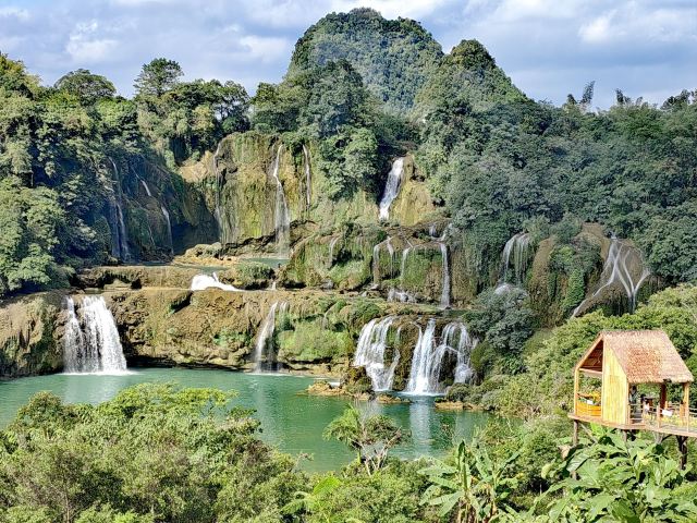 老木棉·紫园景区旅行图片 1