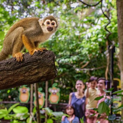 新加坡动物园+Wild Wild Wet水上乐园+牛车水+滨海湾+吉隆坡+苏丹阿都沙末大厦+双威主题乐园7日6晚拼小团
