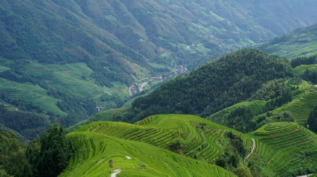 4-Day Guilin Private Tour·Yangshuo, Longsheng, Longji Rice Terraces, Elephant Trunk Hill, Guilin Xingping Li River, Xiongcun