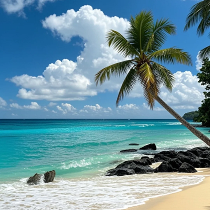 厦门+鼓浪屿4日3晚私家团