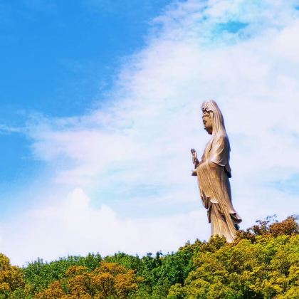普陀山风景区2日1晚私家团