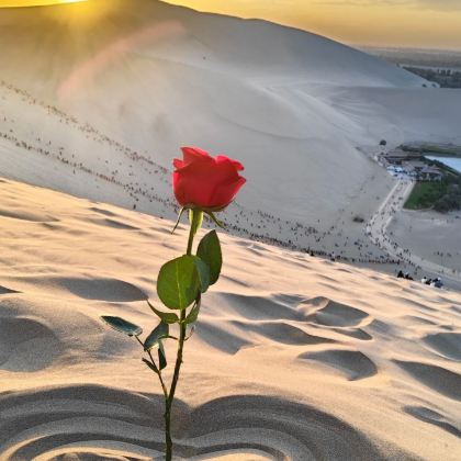 甘肃敦煌+莫高窟+鸣沙山月牙泉+嘉峪关关城2日1晚跟团游