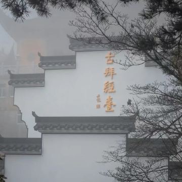 九华山大愿文化园-九华大佛+百岁宫+化城寺+肉身宝殿+天台寺3日2晚私家团