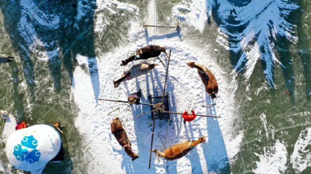 2-Day Northeast China Highlights Private Tour·Harbin and Chagan Lake丨Winter fishing and Folk activities