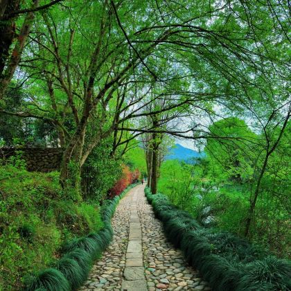 丽水+仙都景区+云和梯田景区+古堰画乡旅游度假区3日2晚拼小团