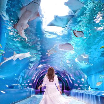 日本大阪+京都+奈良+名古屋7日6晚跟团游