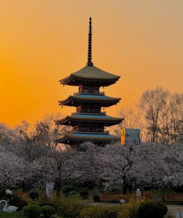 3天2晚 • 武漢＋恩施市