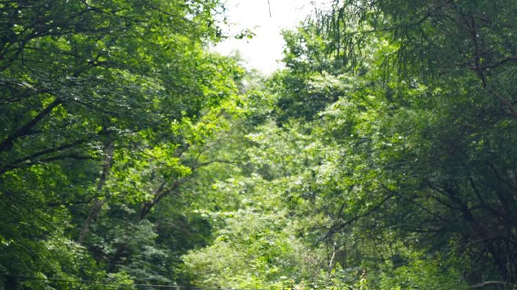 5-Day Jilin Private Tour from Changchun·Changbai Mountain, Yanji, Tumen Border | Korean Ethnic Culture