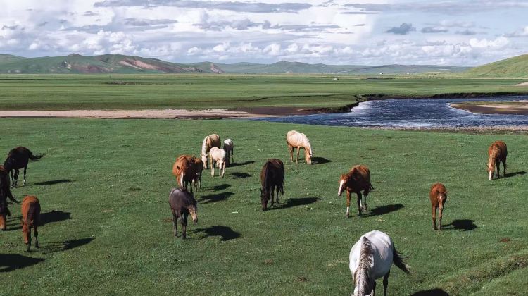 5-Day Hulunbuir + Hailar + Aershan National Forest Park