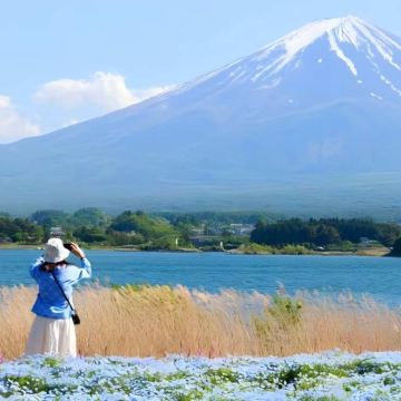 日本东京+富士山5日4晚跟团游