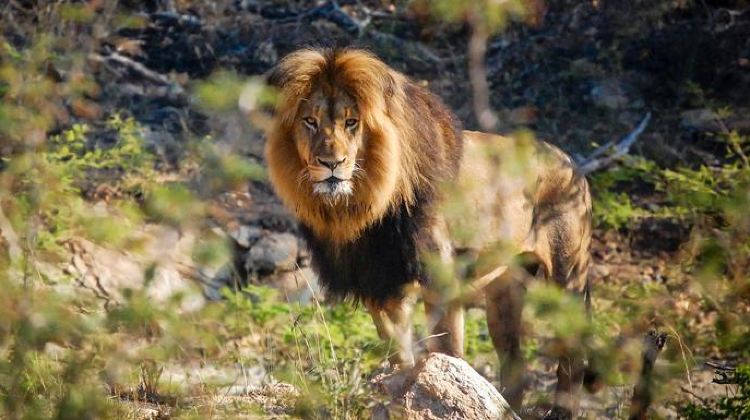 13-Day Cape Town to Victoria Falls Tour·Included Internal Flight, Soweto Bike Tour & Full-Day Kruger Safari