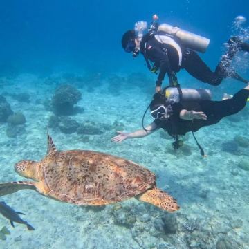 马来西亚沙巴仙本那3日2晚跟团游