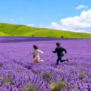 日本北海道+网走+知床半岛+旭川7日6晚私家团