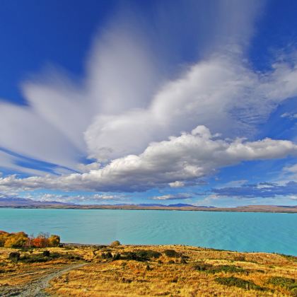 新西兰南岛18日16晚拼小团