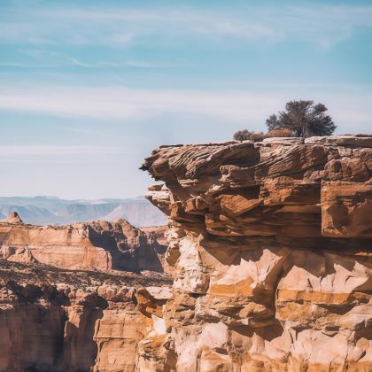 美国21日18晚跟团游