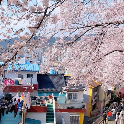 韩国首尔+釜山7日6晚私家团