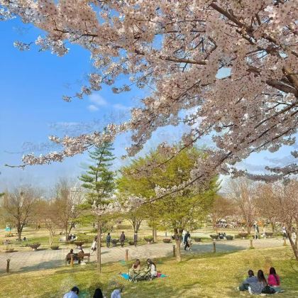 韩国首尔+济州岛7日6晚私家团