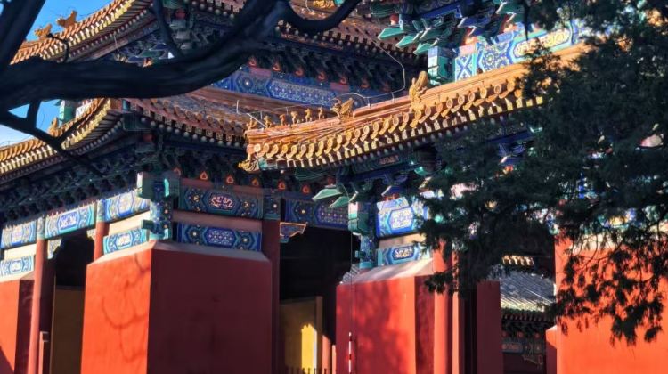 4D3N · Private Tours · Special limited-time discount available Explore Beijing’s iconic sites including the Great Wall, Forbidden City and Temple of Heaven. Enjoy professional guide