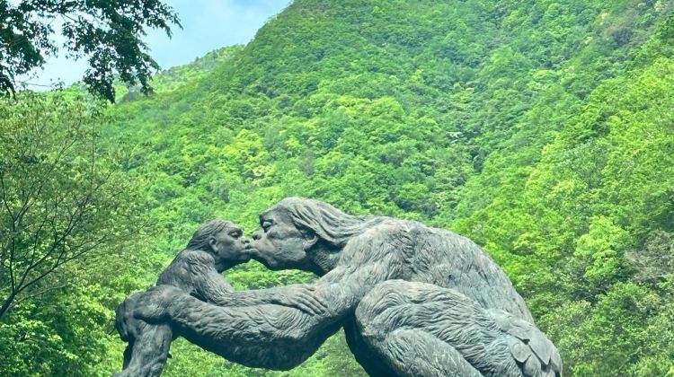 3D2N · Group Tours · Shennongjia Scenic Area: Shennongding - Dajiuhu Lake - Guanmen Mountain - Shennong Altar 