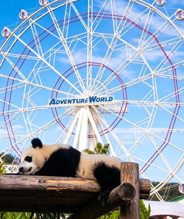 7D6N • Japan winter family journey with Osaka, Wakayama and Biwako Snow Land, Universal Studios Japan and interactive experiences