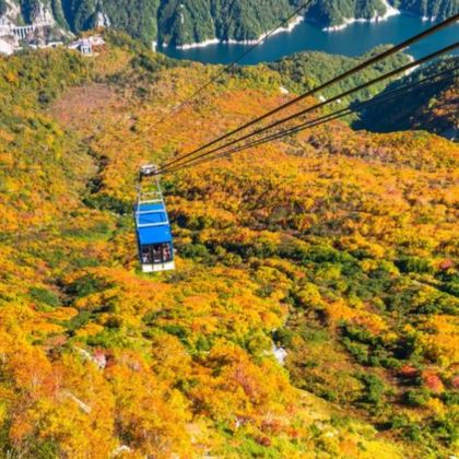 日本名古屋+白川乡+高山市+立山6日5晚私家团