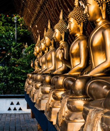 14D13N • Sri Lanka:14-Day Wildlife Tour with Entry & Adventures Fees