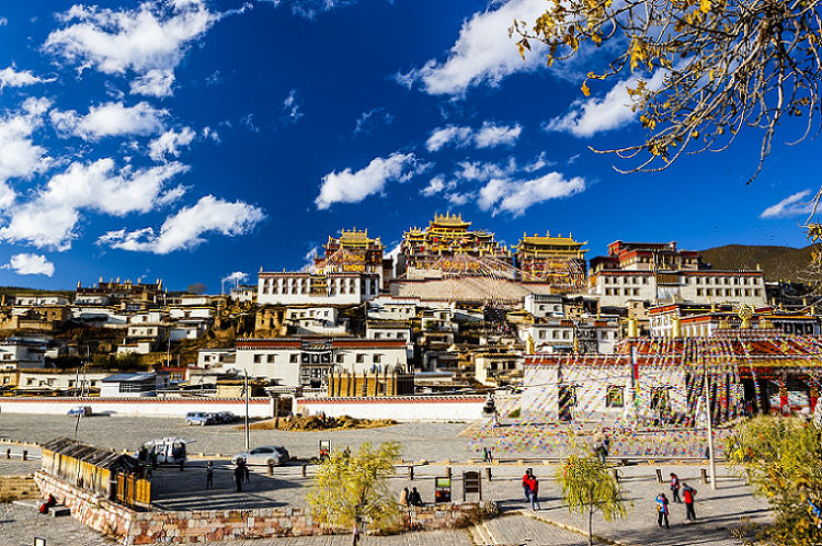 丽江东巴王国攻略-东巴王国门票价格多少钱-团购票价预定优惠-景点