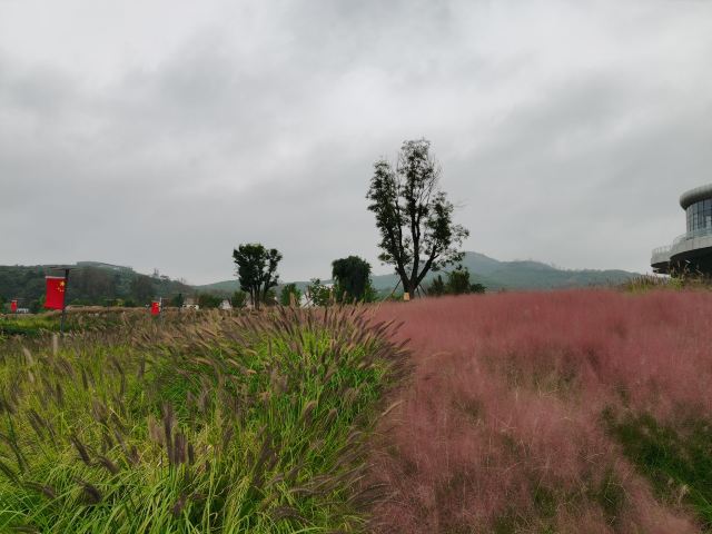 尹家峪田园综合体旅行图片 2