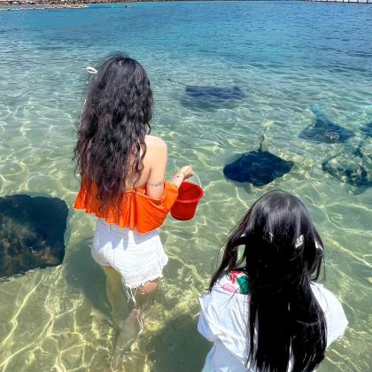 陵水+分界洲岛5日4晚跟团游